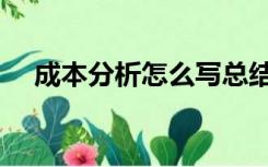 成本分析怎么写总结（成本分析怎么写）