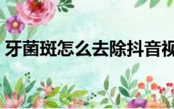 牙菌斑怎么去除抖音视频（牙菌斑怎么去除）