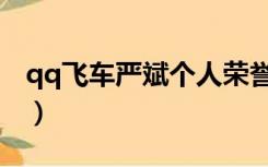 qq飞车严斌个人荣誉（qq飞车严斌个人资料）