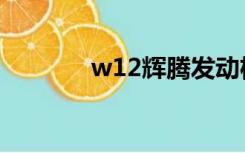 w12辉腾发动机（w12辉腾）