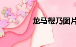 龙马樱乃图片（龙马樱乃）