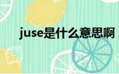 juse是什么意思啊（juse 是什么意思）