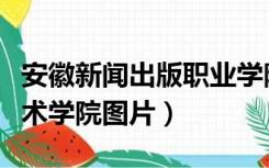 安徽新闻出版职业学院（安徽新闻出版职业技术学院图片）