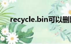 recycle.bin可以删除吗（recycle bin）