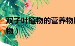 双子叶植物的营养物质储存在哪里（双子叶植物）