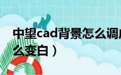 中望cad背景怎么调成白色（中望cad背景怎么变白）