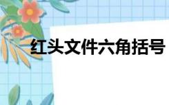 红头文件六角括号（文件括号怎么打）