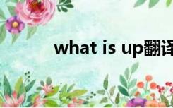 what is up翻译（what is up）