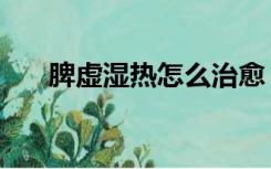 脾虚湿热怎么治愈（脾虚湿热怎么治）