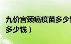 九价宫颈癌疫苗多少钱一支（九价宫颈癌疫苗多少钱）