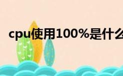 cpu使用100%是什么意思（cpu使用100）