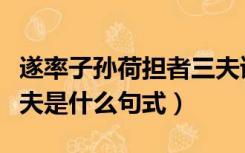 遂率子孙荷担者三夫读音（遂率子孙荷担者三夫是什么句式）