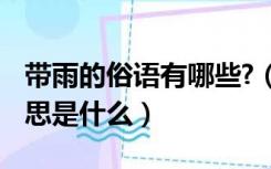 带雨的俗语有哪些?（带雨字的俗语有哪些 意思是什么）