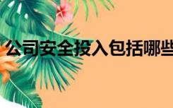 公司安全投入包括哪些（安全投入包括哪些）