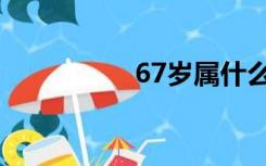 67岁属什么生肖（67）