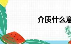 介质什么意思（介质）