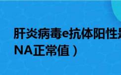 肝炎病毒e抗体阳性是什么意思（乙肝病毒DNA正常值）