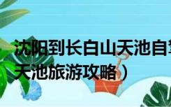 沈阳到长白山天池自驾游攻略（沈阳到长白山天池旅游攻略）