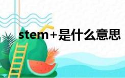 stem+是什么意思（stem是什么意思）