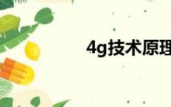 4g技术原理（4g技术）