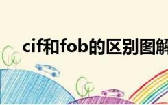 cif和fob的区别图解（cif和fob的区别）