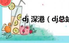 dj 深港（dj总站深港dj俱乐部）