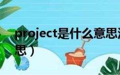 project是什么意思汉语（project是什么意思）