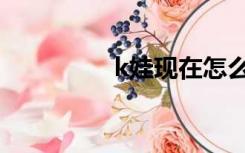 k娃现在怎么样了（k娃）