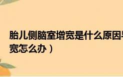 胎儿侧脑室增宽是什么原因导致的怎么治疗（胎儿侧脑室增宽怎么办）