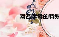 网名字母的特殊含义（网名字）