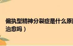 偏执型精神分裂症是什么原因引起的（偏执型精神分裂症能治愈吗）