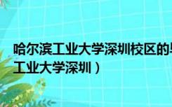 哈尔滨工业大学深圳校区的毕业证与母校有区别吗（哈尔滨工业大学深圳）