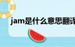 jam是什么意思翻译（jam是什么意思）