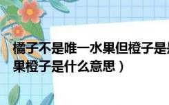 橘子不是唯一水果但橙子是是什么意思（橘子不是唯一的水果橙子是什么意思）