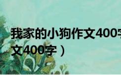 我家的小狗作文400字三年级（我家的小狗作文400字）