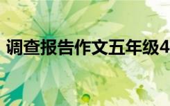 调查报告作文五年级400字（调查报告作文）