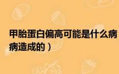 甲胎蛋白偏高可能是什么病（甲胎蛋白长期轻微偏高是什么病造成的）