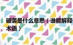 破袭是什么意思（谁能解释一下 破袭战  并且多举出些军事术语）