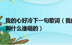 我的心好冷下一句歌词（我的心好冷等着你来疼这首歌名字叫什么谁唱的）