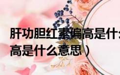 肝功胆红素偏高是什么意思啊（肝功胆红素偏高是什么意思）