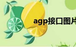 agp接口图片（agp接口）