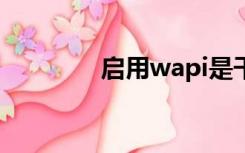 启用wapi是干嘛的（启用）