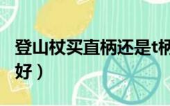 登山杖买直柄还是t柄（登山杖直柄好还是t柄好）