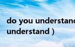 do you understand?翻译成中文（do you understand）