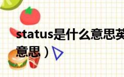 status是什么意思英语翻译（status是什么意思）