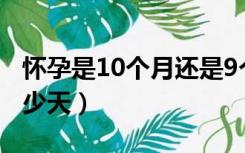 怀孕是10个月还是9个月（从怀孕到生产要多少天）