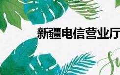 新疆电信营业厅网上营业厅官网