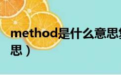 method是什么意思复数（method是什么意思）