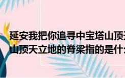 延安我把你追寻中宝塔山顶天立地的脊梁代表着什么（宝塔山顶天立地的脊梁指的是什么）