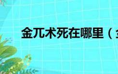 金兀术死在哪里（金兀术是怎么死的）